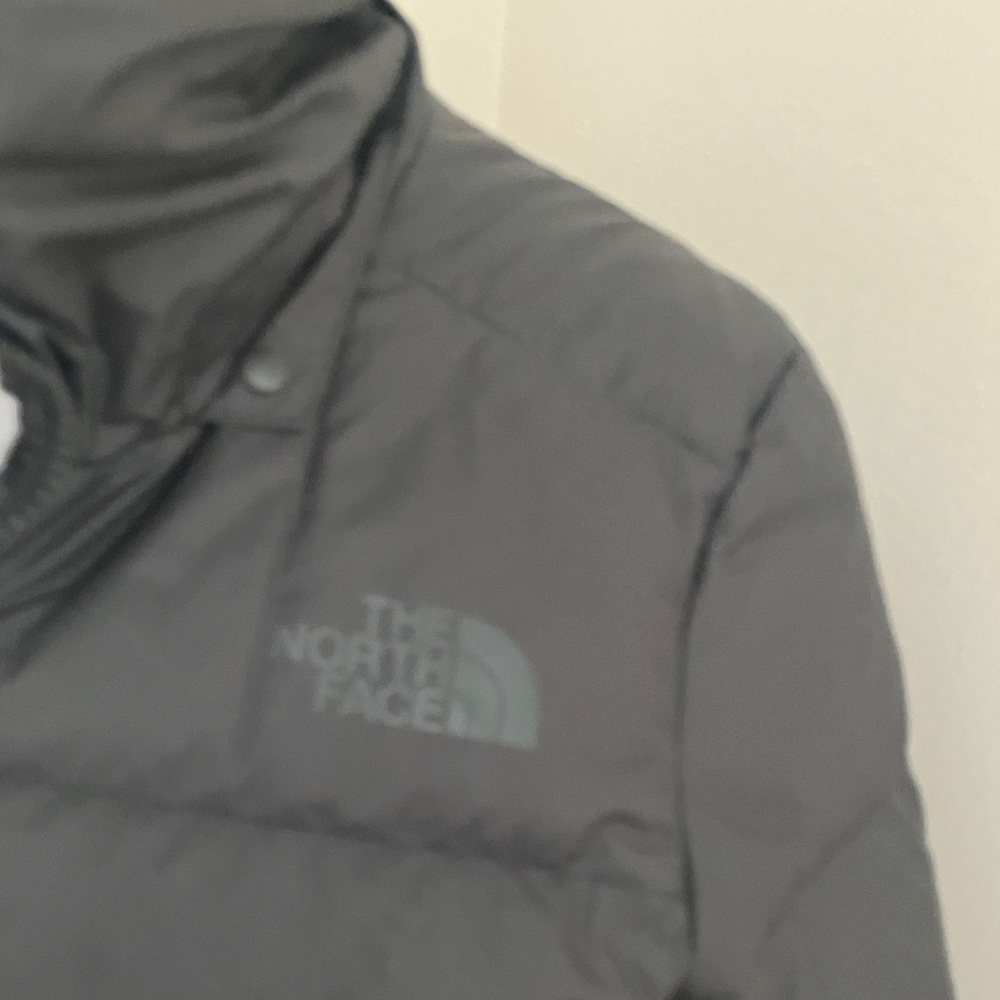 The North Face Metropolis Down Parka - Picture 7 of 12